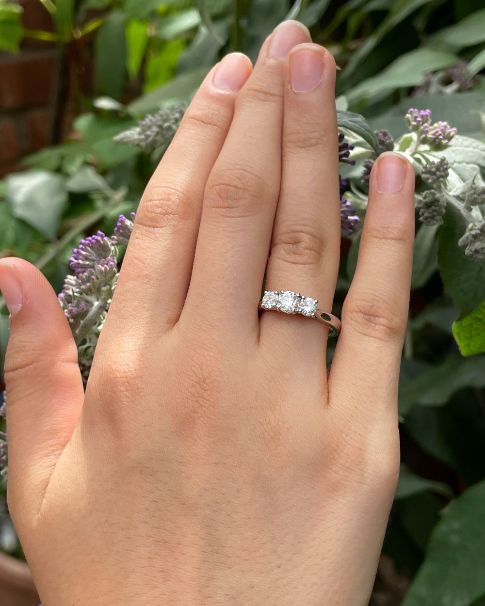 Trilogy 3 Stone Platinum Diamond Engagement Ring | Alison Needful Things